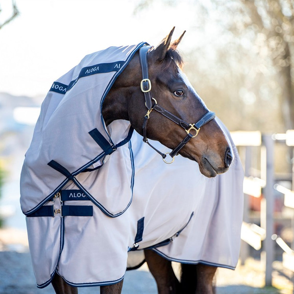 Hyönteisloimi Fly Sheet