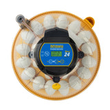 Hautomakone Maxi 2 EX