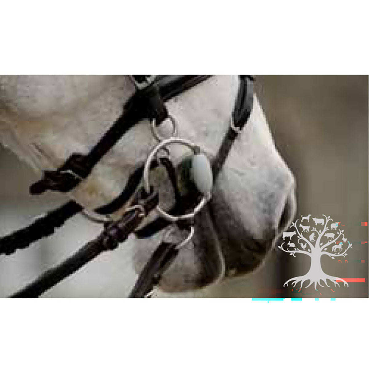 Curb Gag LR Snaffle Lock Up