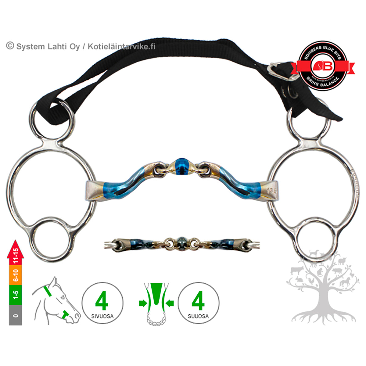 2½ -Ring McHardy Dressage Straight