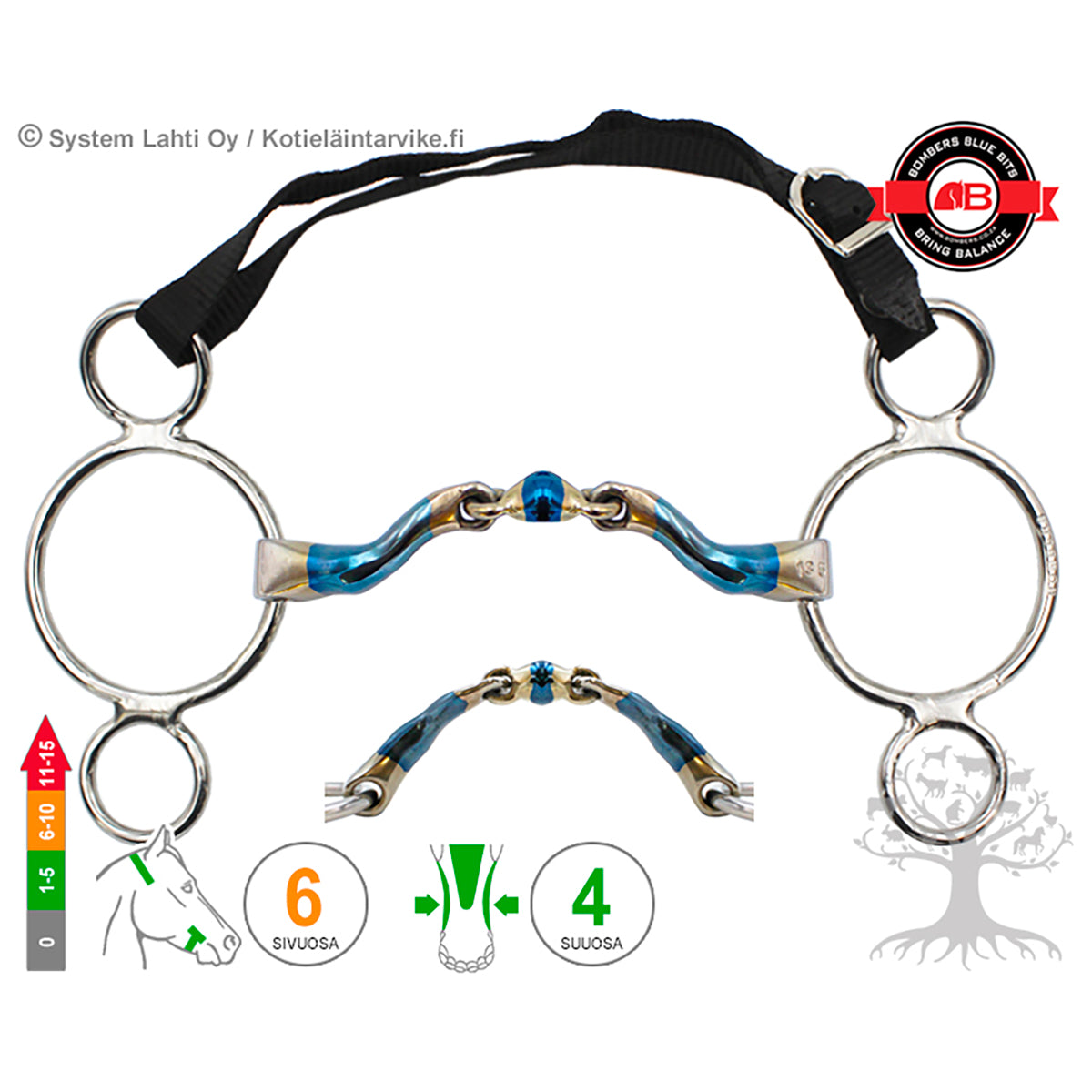 3 -Ring McHardy Dressage