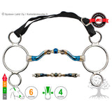 3 -Ring McHardy Dressage Straight