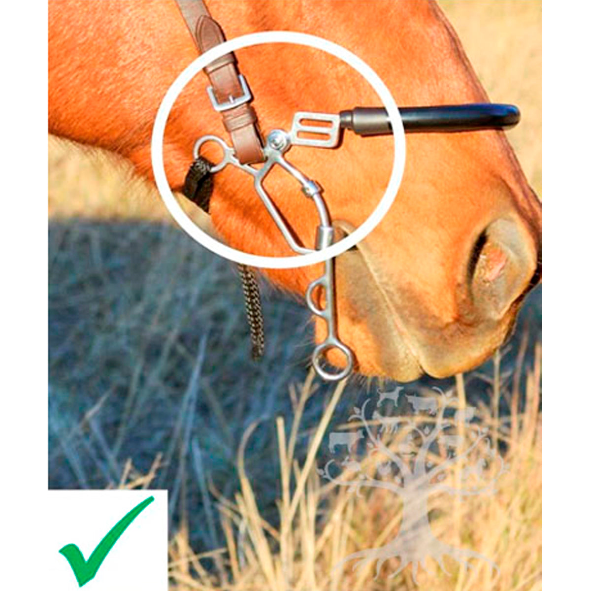 Hybrid Snaffle Lock Up