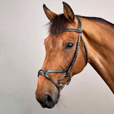 Bridle X-Fit NE/US/D Collections