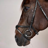Bridle X-Fit NE/US/D Collections