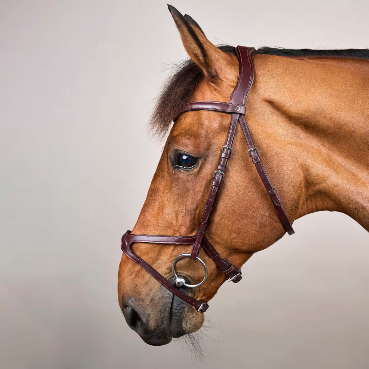 Bridle X-Fit NE/US/D Collections