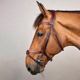 Bridle X-Fit NE/US/D Collections