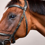 Bridle X-Fit NE/US/D Collections
