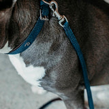 Nahkatalutin Basket Leather Leash