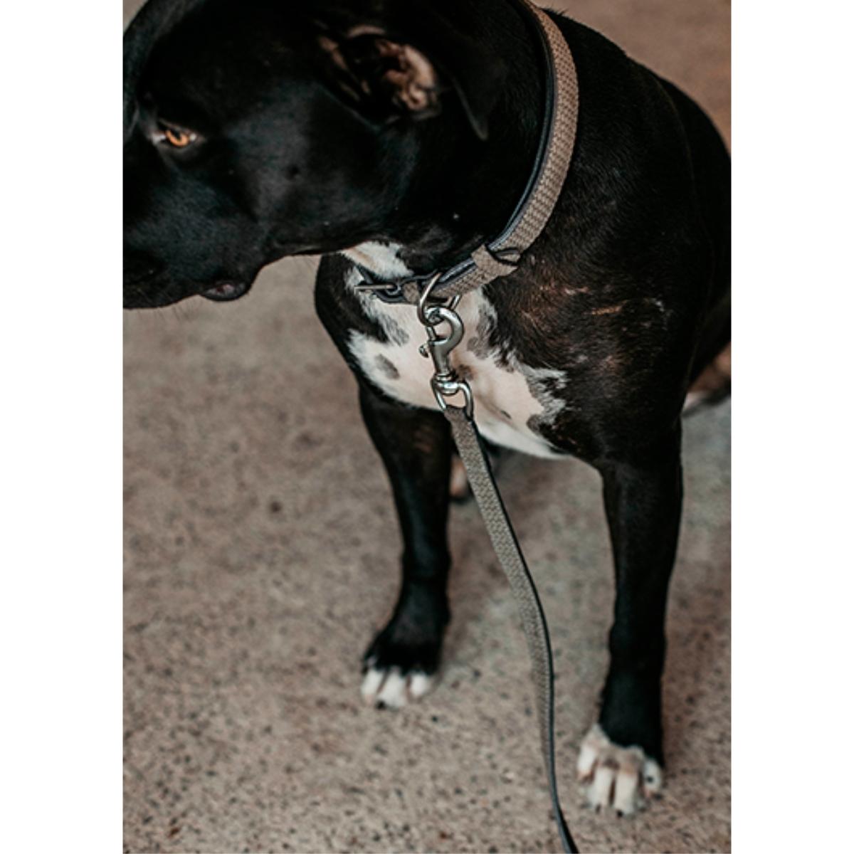 Nahkatalutin Basket Leather Leash