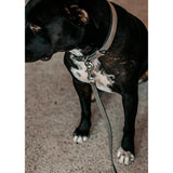 Nahkatalutin Basket Leather Leash