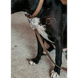 Nahkatalutin Basket Leather Leash