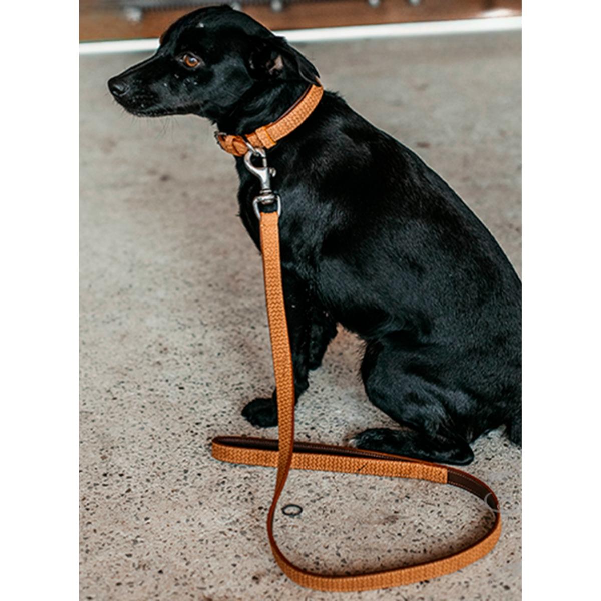 Nahkatalutin Basket Leather Leash