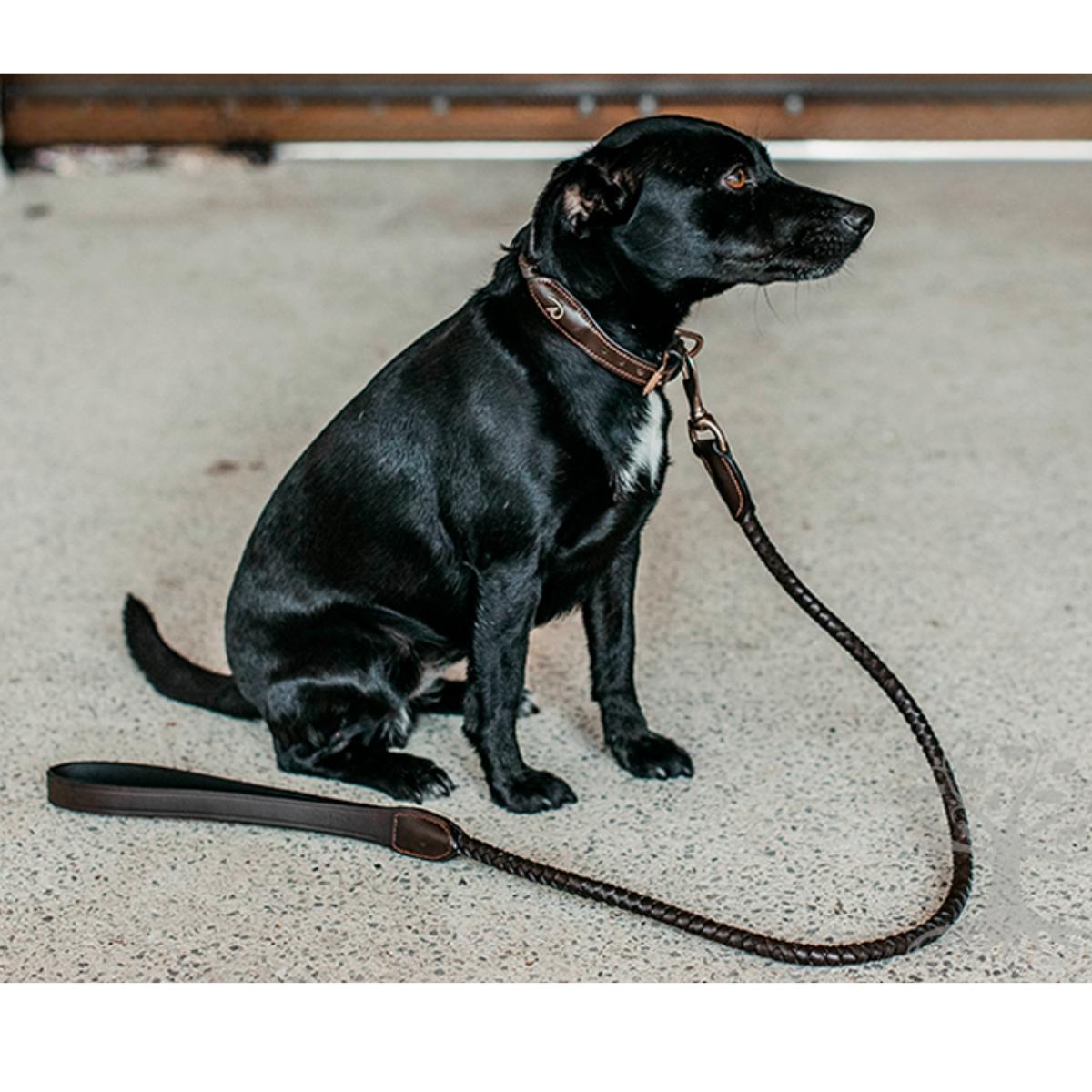 Nahkatalutin Braided Leather Leash