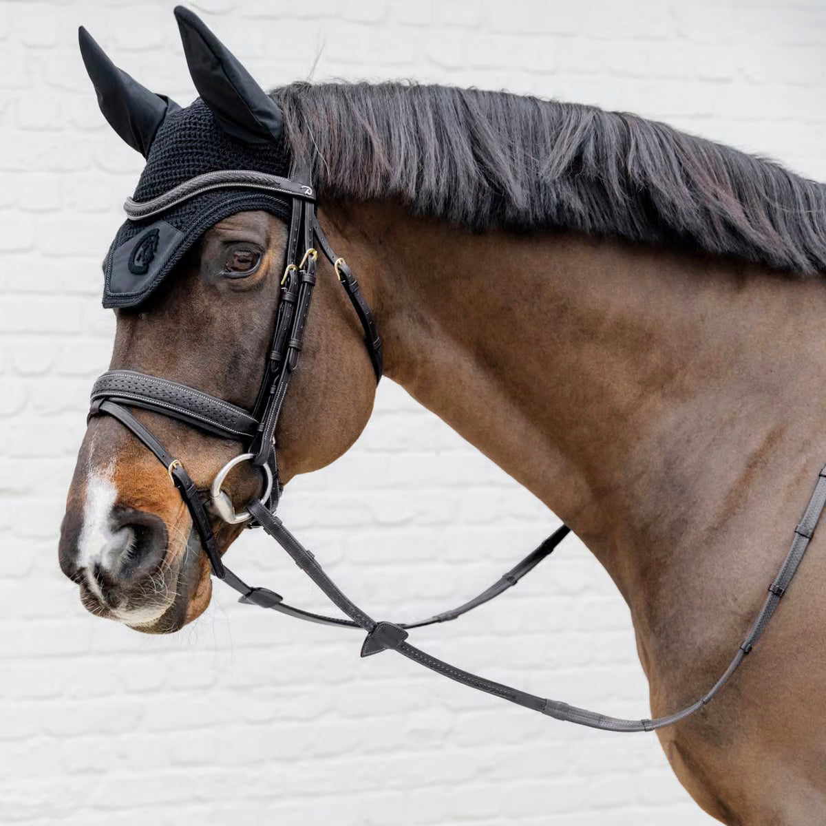 Browband V-Shaped Plaited NE/D Collections