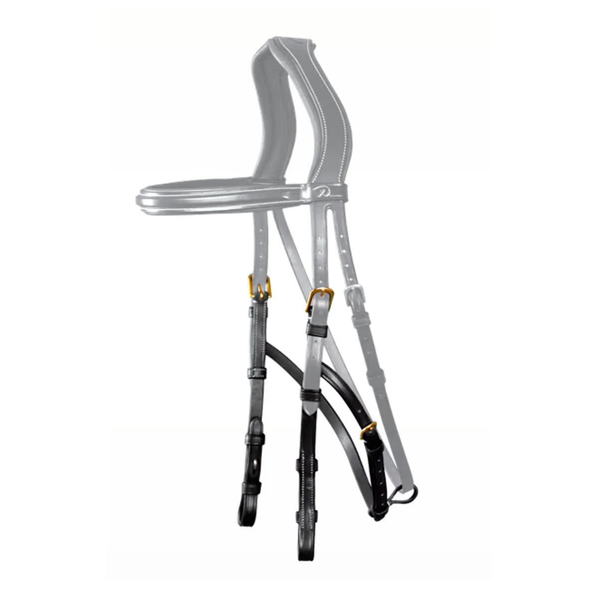 Poskihihnat Hackamore NE/US/D Collections