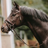 Reins Hunter 5/8" with 7 Leather Loops NE/US/D Collections