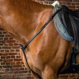 Breastplate Flash NE/US/D Collections