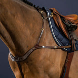 Rintaremmi Anatomic NE/US/D Collections