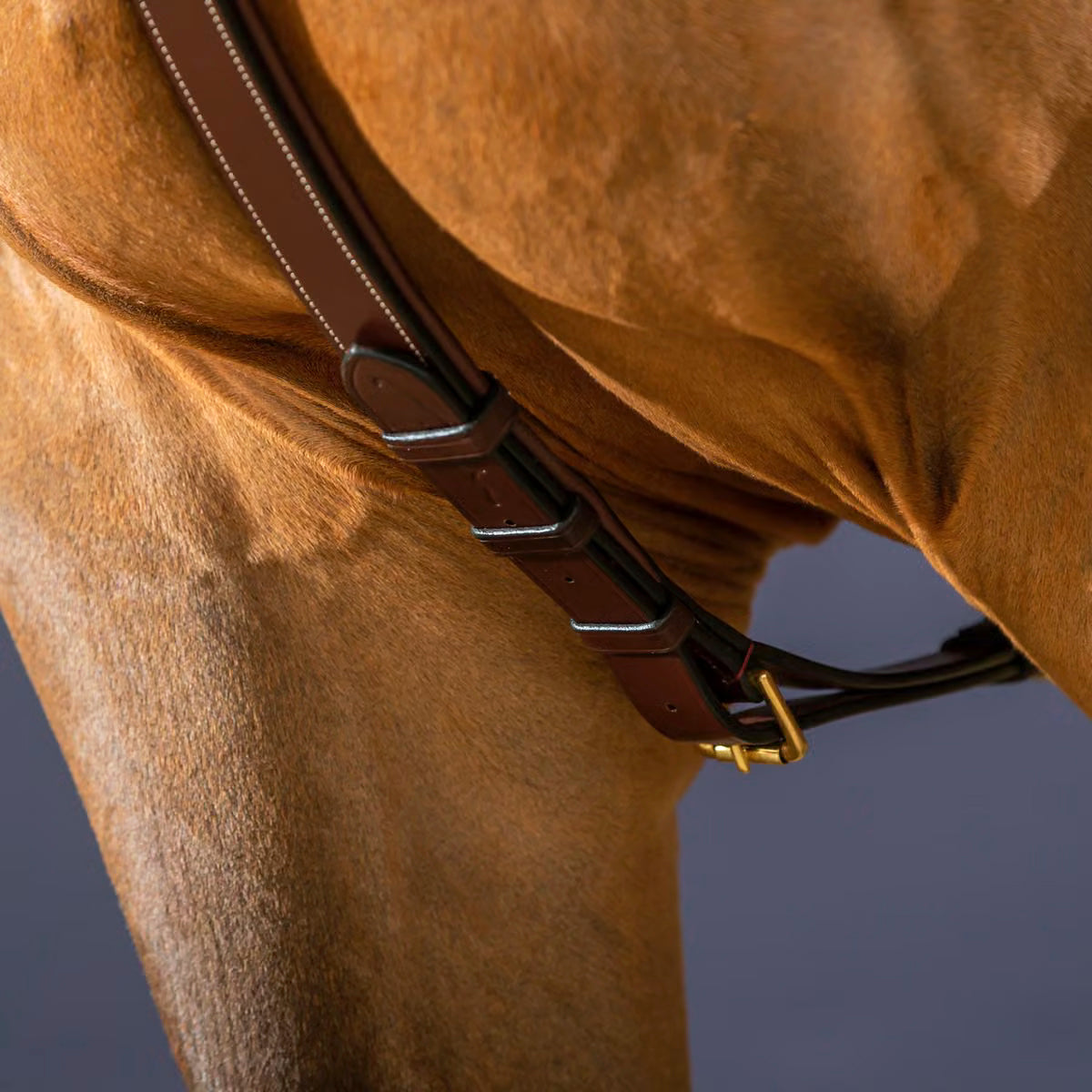 Breastplate Long Bridge NE/US/D Collections