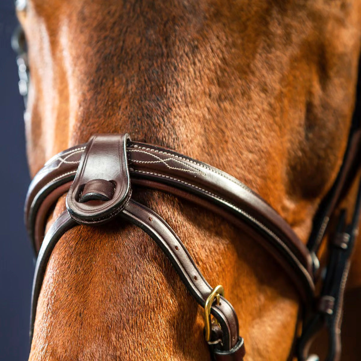 Dyon Nose Strap 1/2" with Removable Attachments NE/US/D Collections
