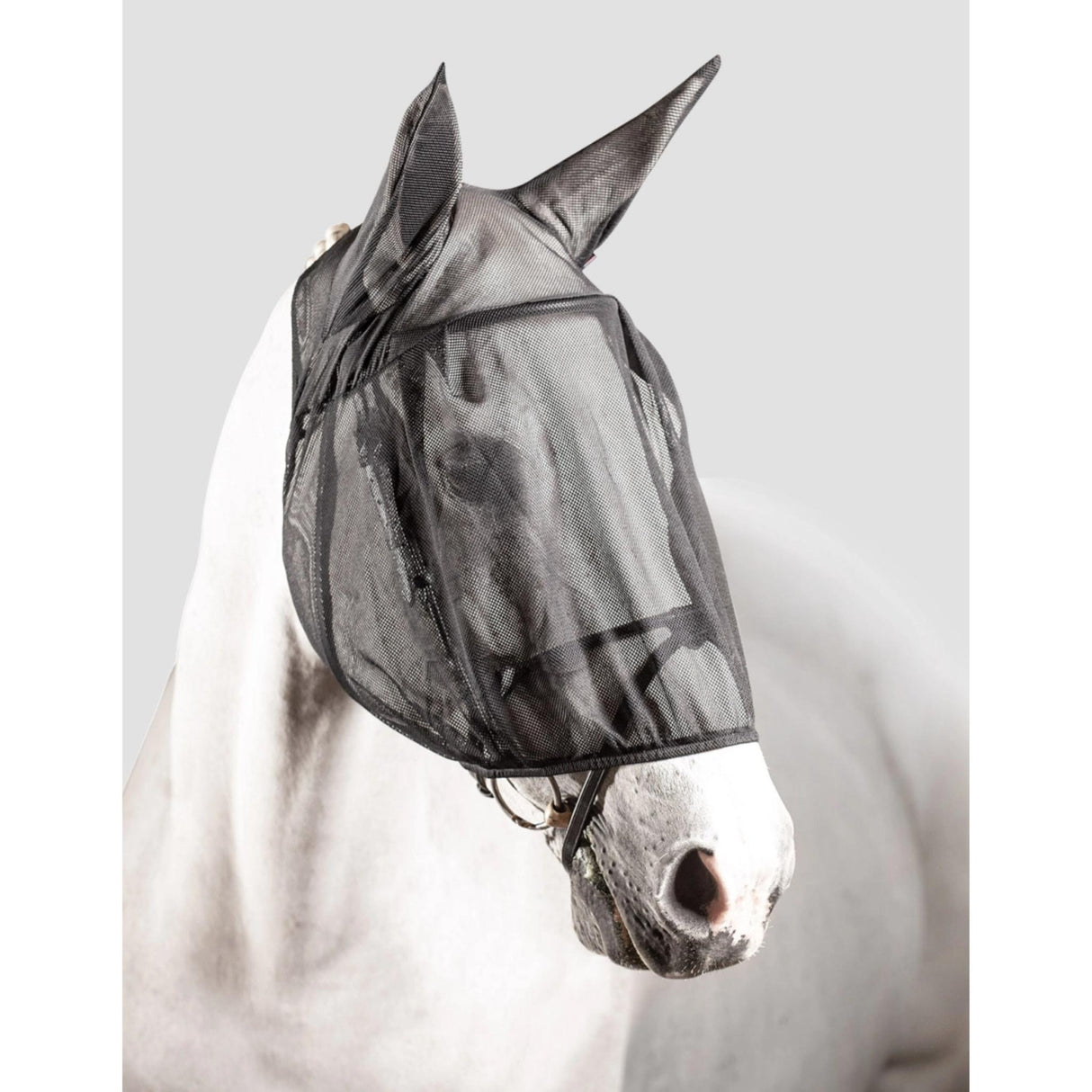 Fly Mask