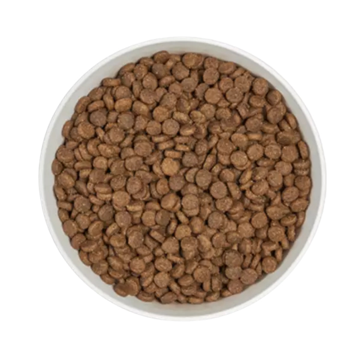 Kuivaruoka Kitten Kana & Kalkkuna Viljaton 1,25kg