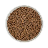 Kuivaruoka Kitten Kana & Kalkkuna Viljaton 1,25kg