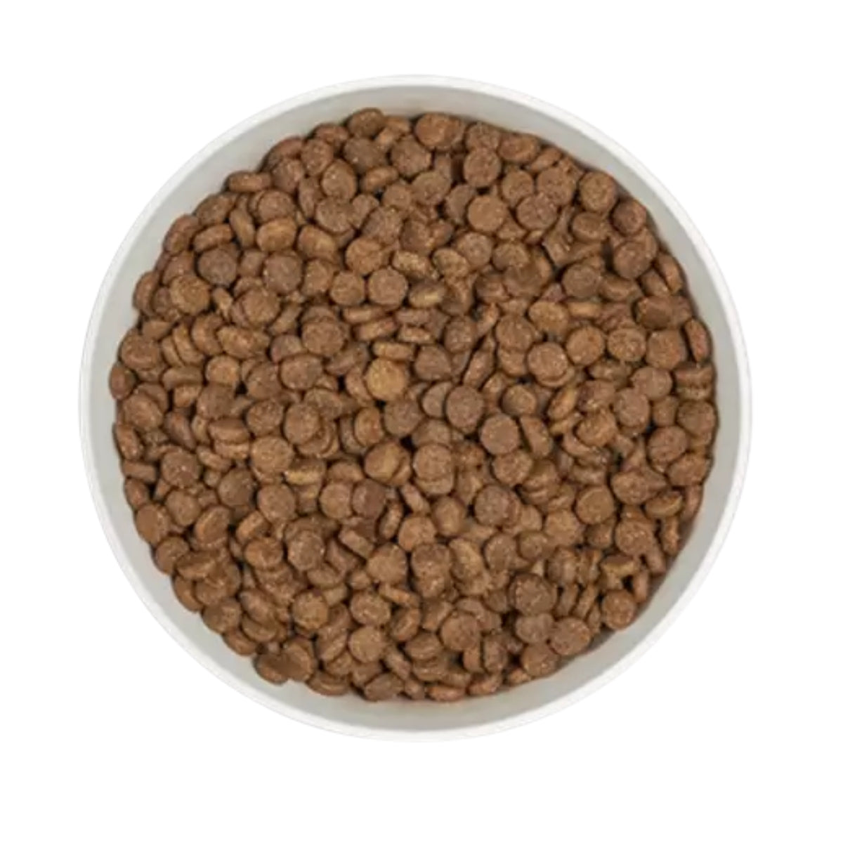Kuivaruoka Adult Lohi & Ankka Viljaton 1,25kg