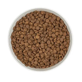 Kuivaruoka Adult Lohi & Ankka Viljaton 1,25kg