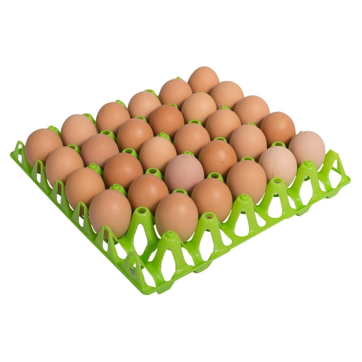 Munakenno Tray 30 Green