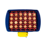 Hautomakone REAL 24 Automatic