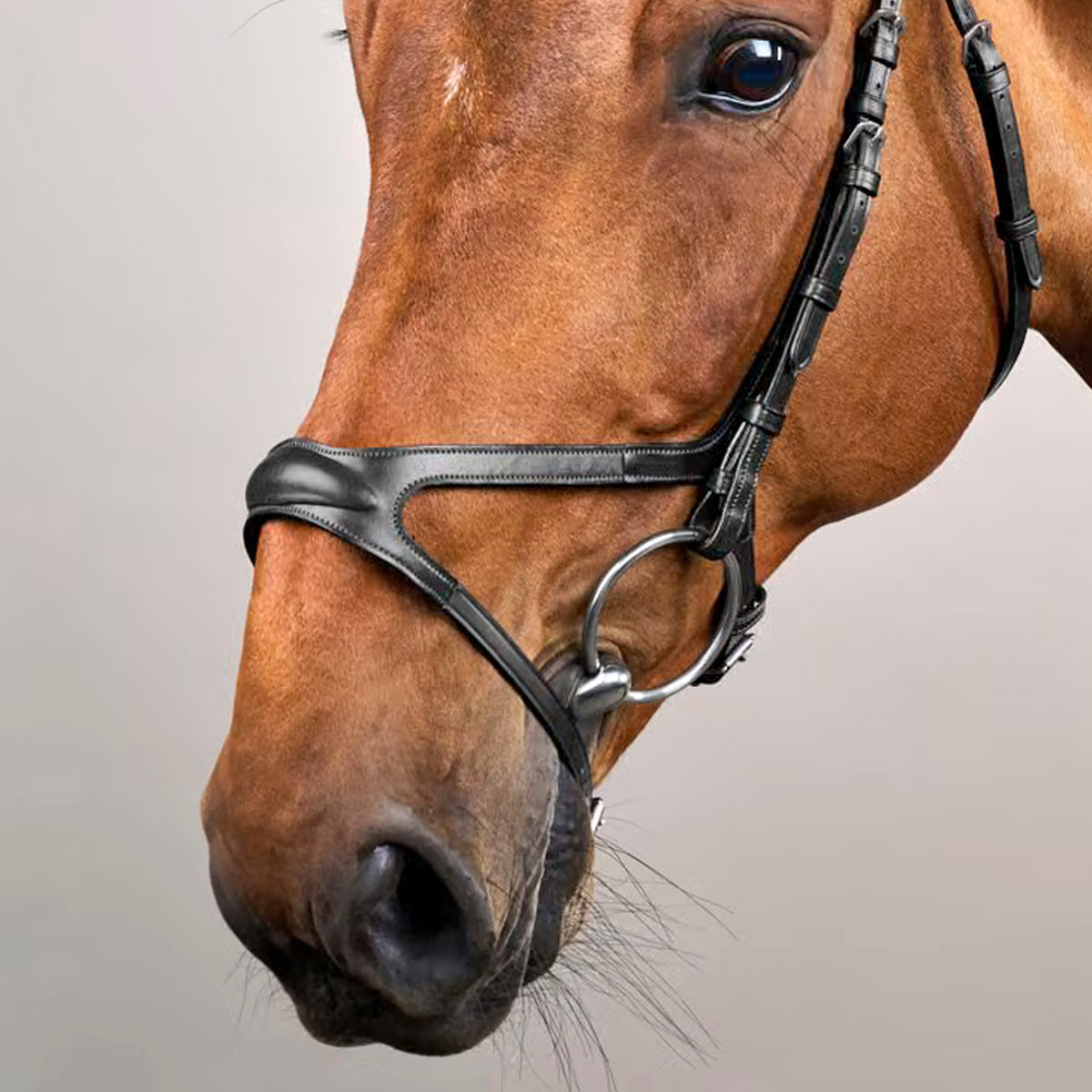 Dyon Noseband X-Fit NE Collection