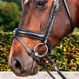 Dyon Turpahihna Pull Back Matte Medium Dressage Collection