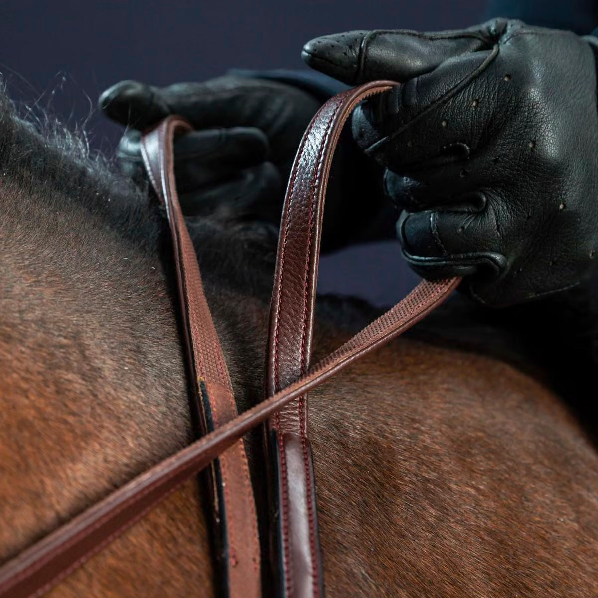 Ohjat Hunter 5/8" Dressage Collections