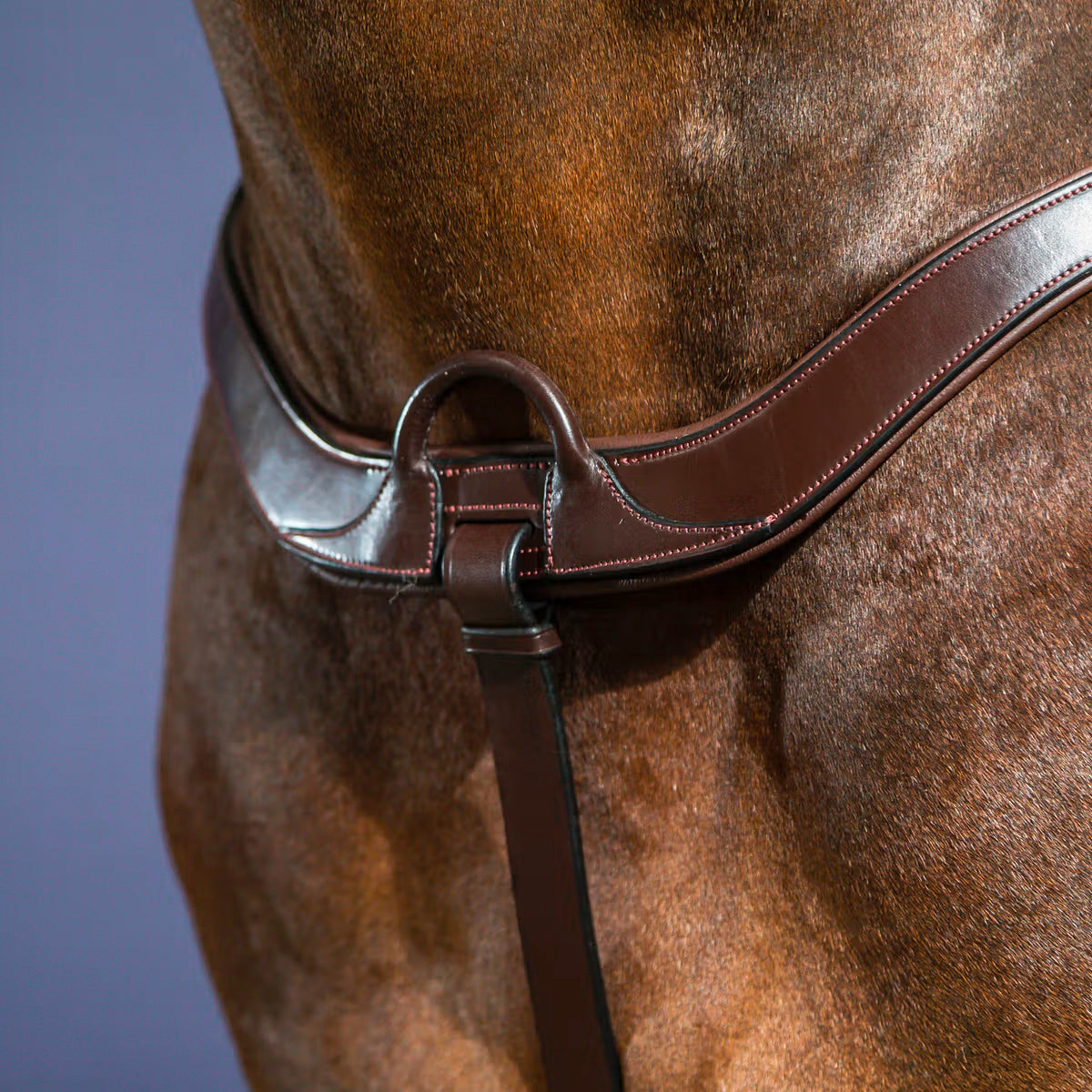Rintaremmi Anatomic NE/US/D Collections