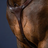 Breastplate Long Bridge NE/US/D Collections