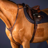 Breastplate Bridge Flash NE/US/D Collections