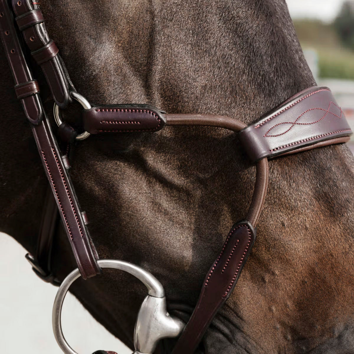 Dyon Turpahihna Hybrid Elastic NE/D Collections