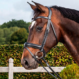 Koulusuitset Medium Crank Matte Noseband Dressage Collections