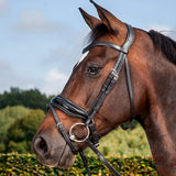 Koulusuitset Large Crank Patent Noseband Dressage Collections