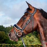 Bridle Large Crank Patent/ Noseband Dressage Collections