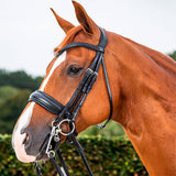 Kankisuitset Large Crank Matte Noseband Dressage Collections