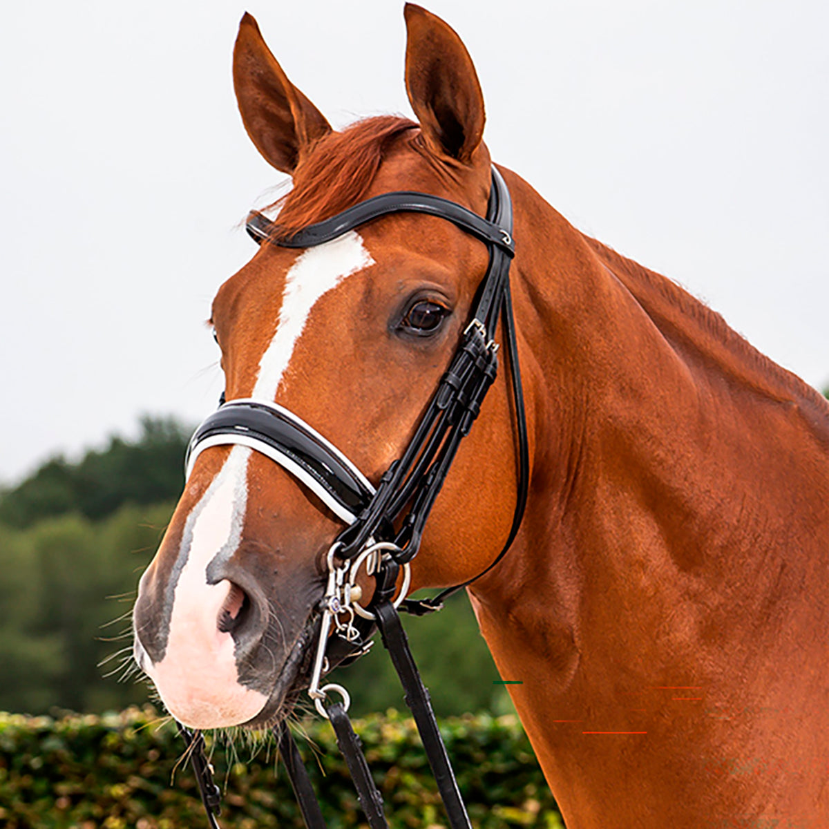 Kankisuitset Large Crank Patent/White Noseband Dressage Collections