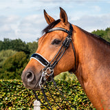 Kankisuitset Large Crank Patent/White Noseband Dressage Round Collections