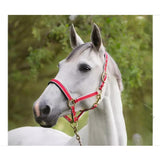 Riimu Exclusive Red Pony