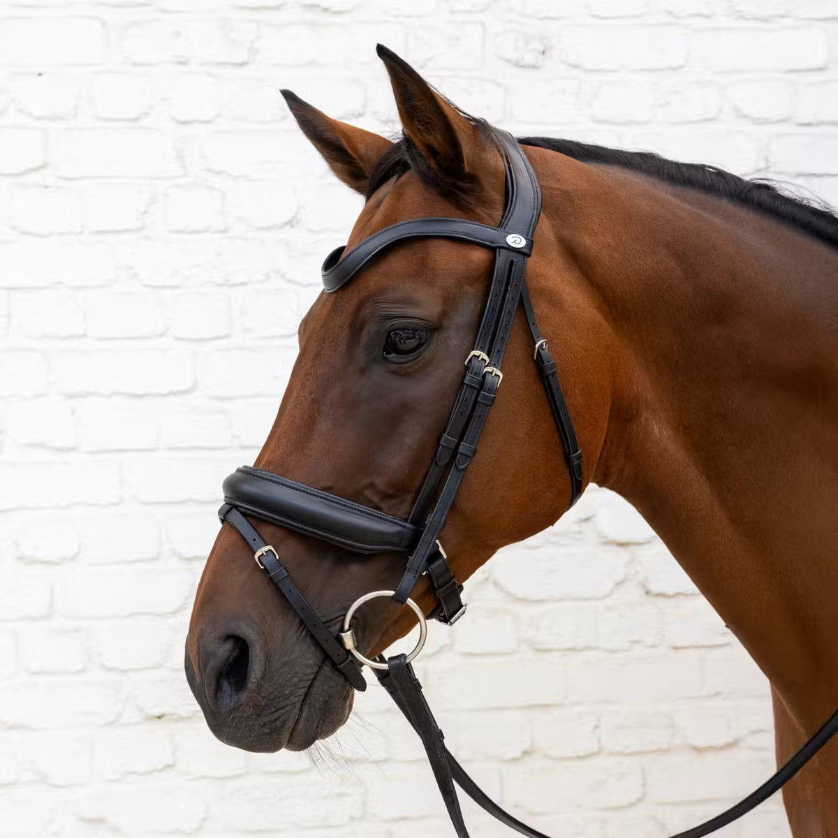 Bridle Matte Medium Crank Noseband Dressage Soft Collection