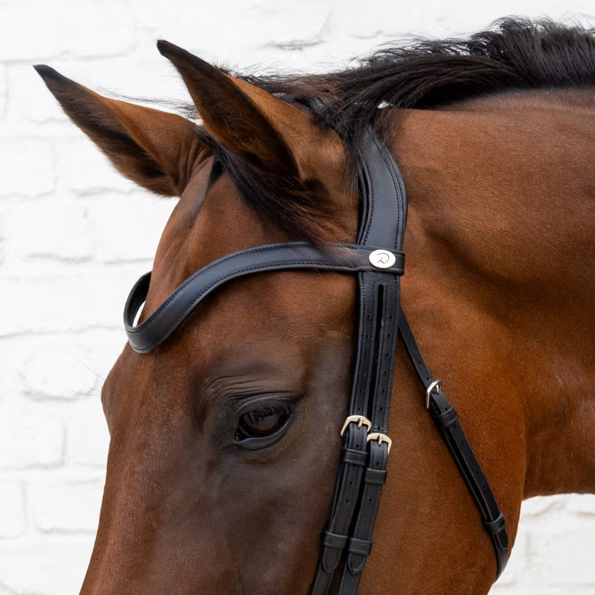 Bridle Matte Medium Crank Noseband Dressage Soft Collection