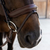 Bridle Matte Medium Crank Noseband Dressage Soft Collection