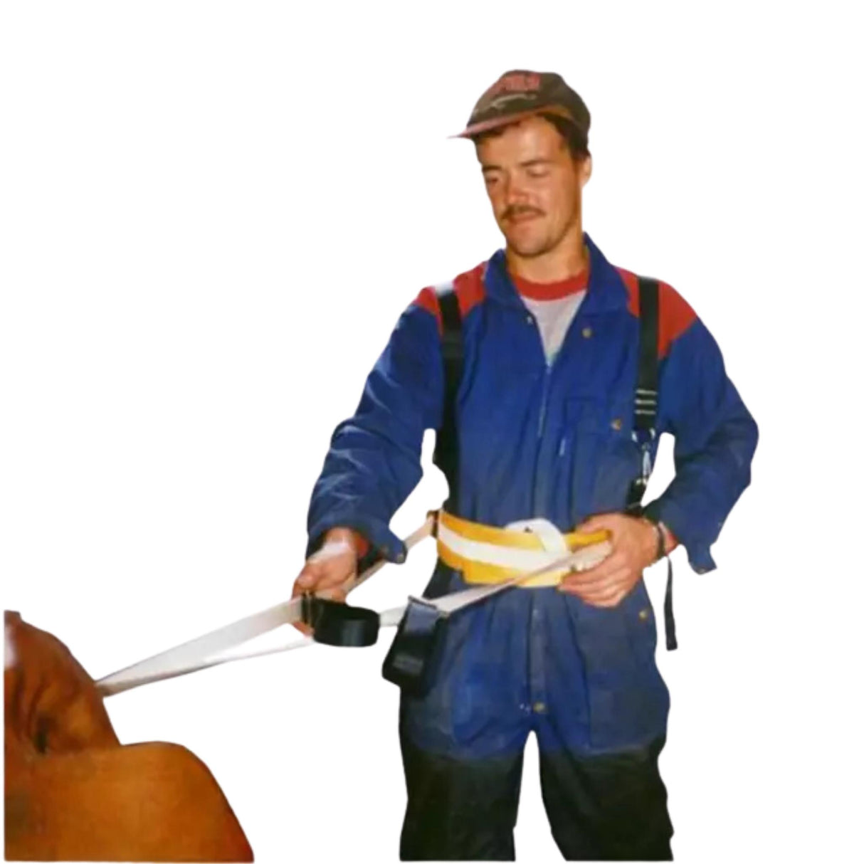 Vasikointivaljaat